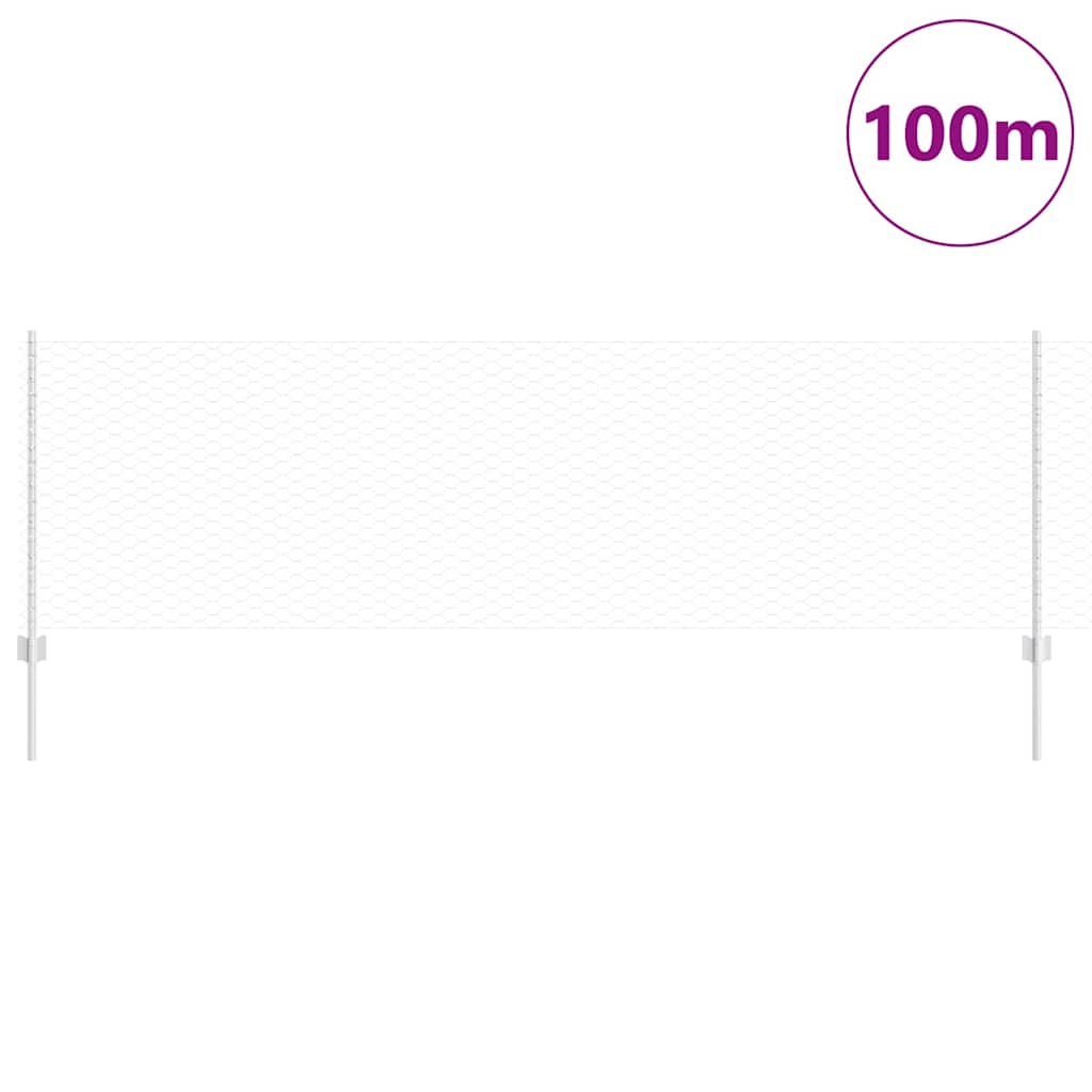 Hek met Paal Zilver 0,8 x 100 m Staal is nu te koop bij PeponiXL, paradijselijk wonen!