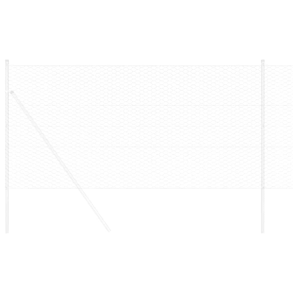 Hexagon Hek Zilver 0,4 x 10 m Gegalvaniseerd staal is nu te koop bij PeponiXL, paradijselijk wonen!