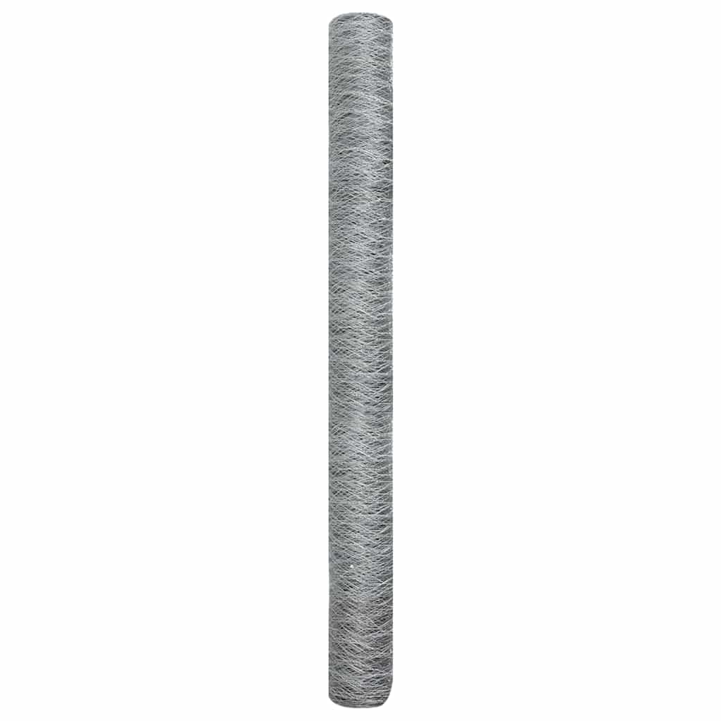 Hexagon Hek Zilver 1,6 x 10 m Gegalvaniseerd staal is nu te koop bij PeponiXL, paradijselijk wonen!
