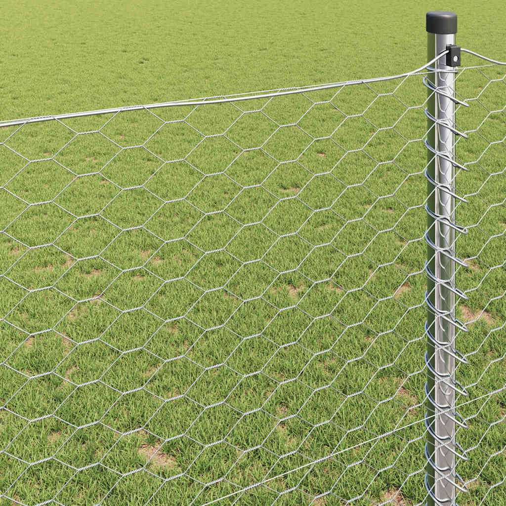 Hexagon Hek Zilver 0,6 x 25 m Gegalvaniseerd staal is nu te koop bij PeponiXL, paradijselijk wonen!