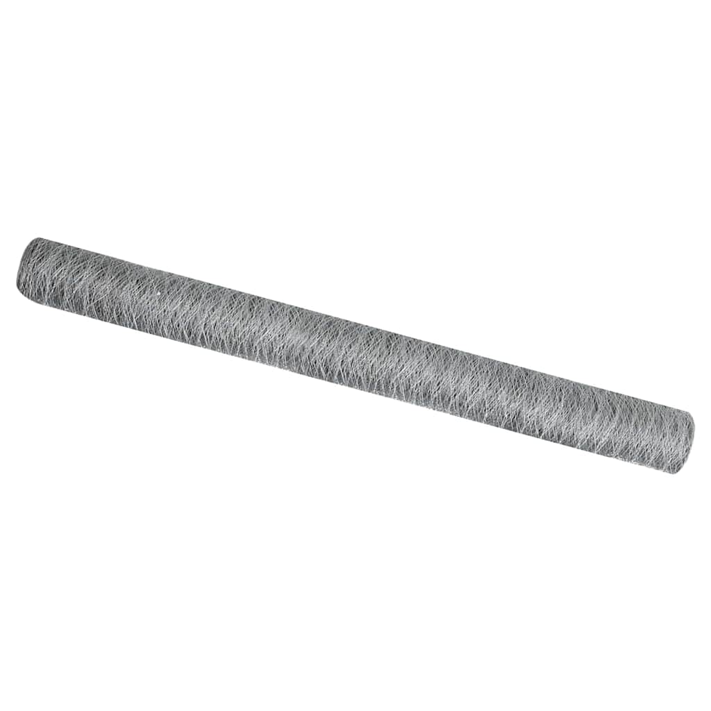 Hexagon Hek Zilver 1,6 x 25 m Gegalvaniseerd staal is nu te koop bij PeponiXL, paradijselijk wonen!