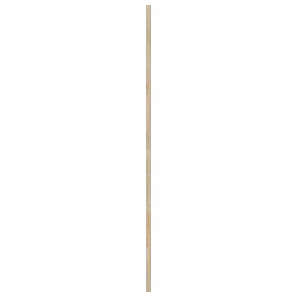 Kastdeur Naturel 140,5 x 2,1 x 59,5 cm Massief grenenhout is nu te koop bij PeponiXL, paradijselijk wonen!