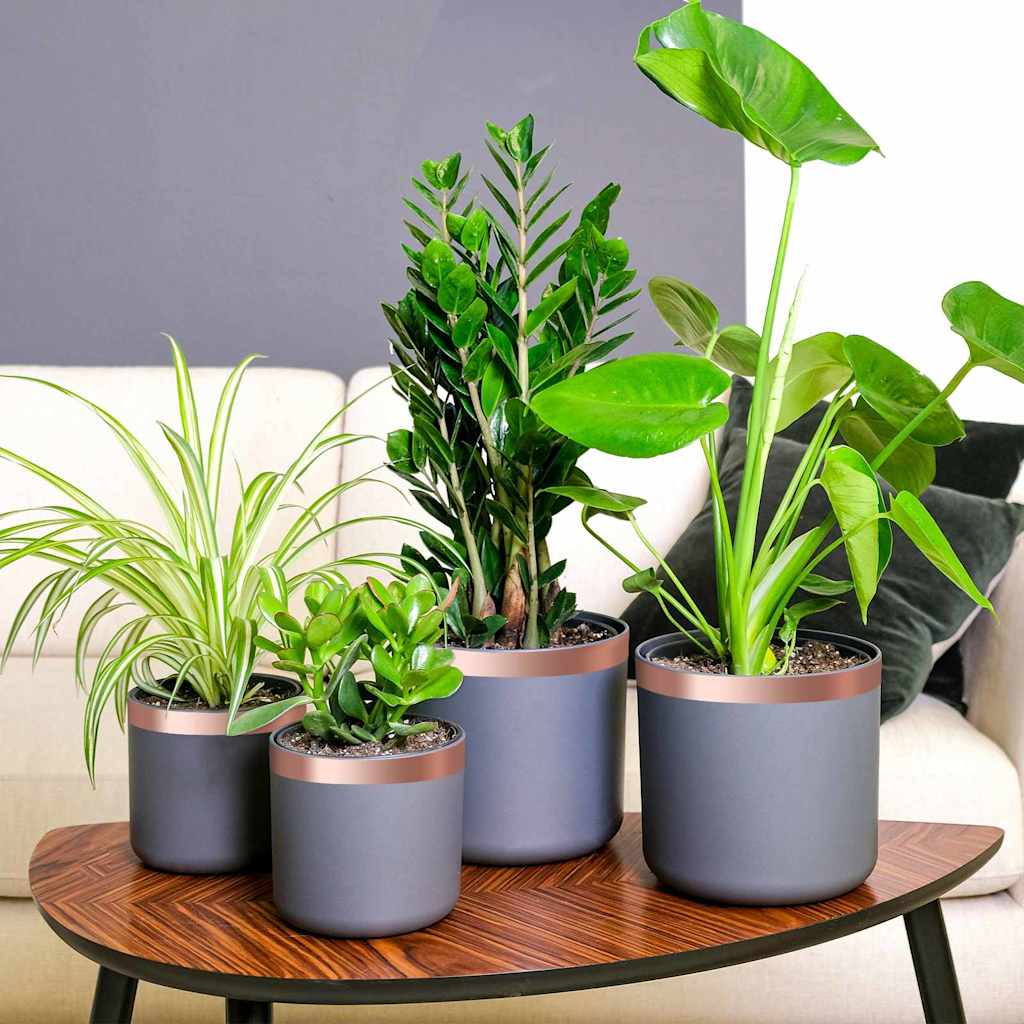Kopertape 6 pcs Koper 2000 x 3 cm Koper is nu te koop bij PeponiXL, paradijselijk wonen!