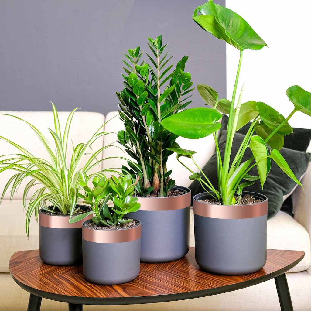 Kopertape 6 pcs Koper 2000 x 5 cm Koper is nu te koop bij PeponiXL, paradijselijk wonen!