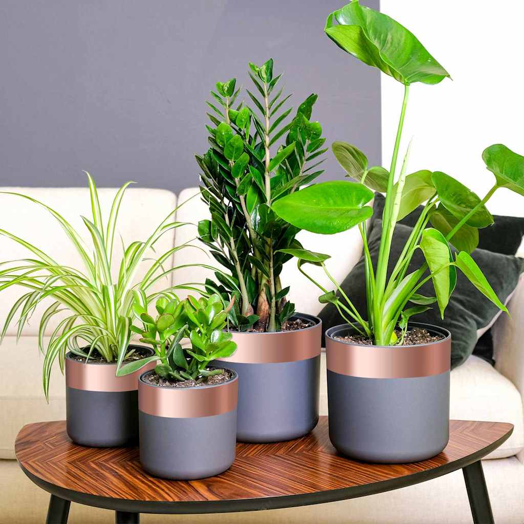 Kopertape 6 pcs Koper 2000 x 7 cm Koper is nu te koop bij PeponiXL, paradijselijk wonen!