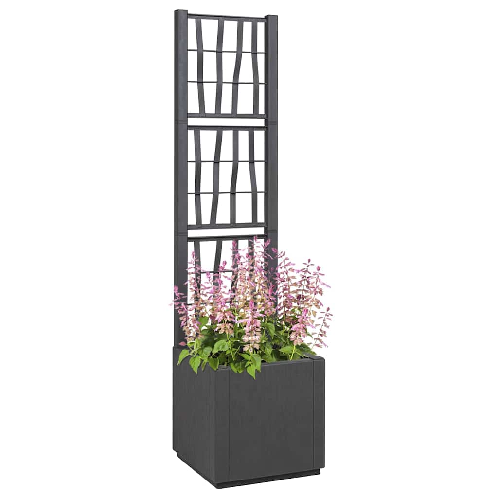 Tuindruppel met Trellis Donkergrijs 36 x 36 x 140 cm PP is nu te koop bij PeponiXL, paradijselijk wonen!