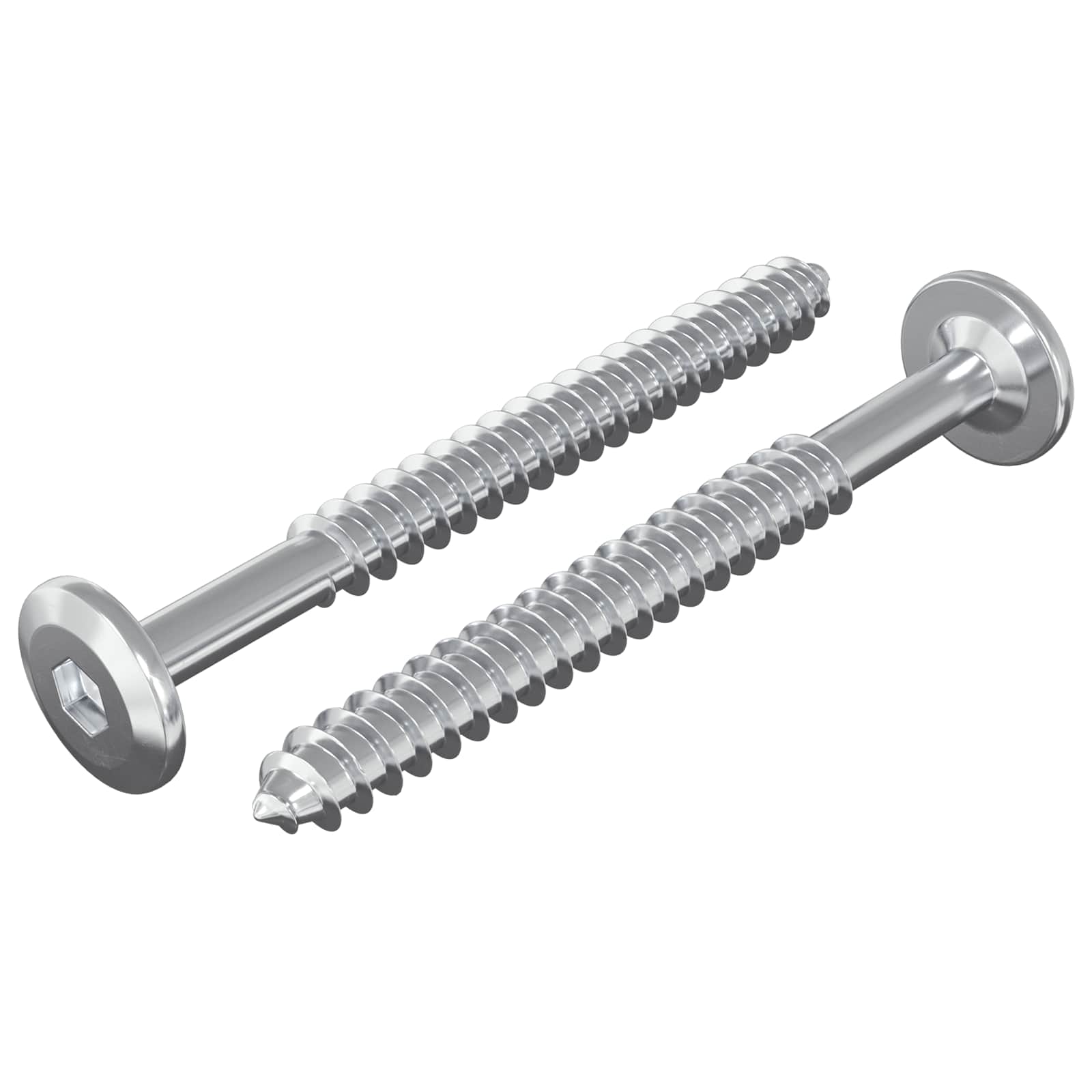 Houten Schroeven 2 pcs Zilver M6 x 70 mm Staal is nu te koop bij PeponiXL, paradijselijk wonen!