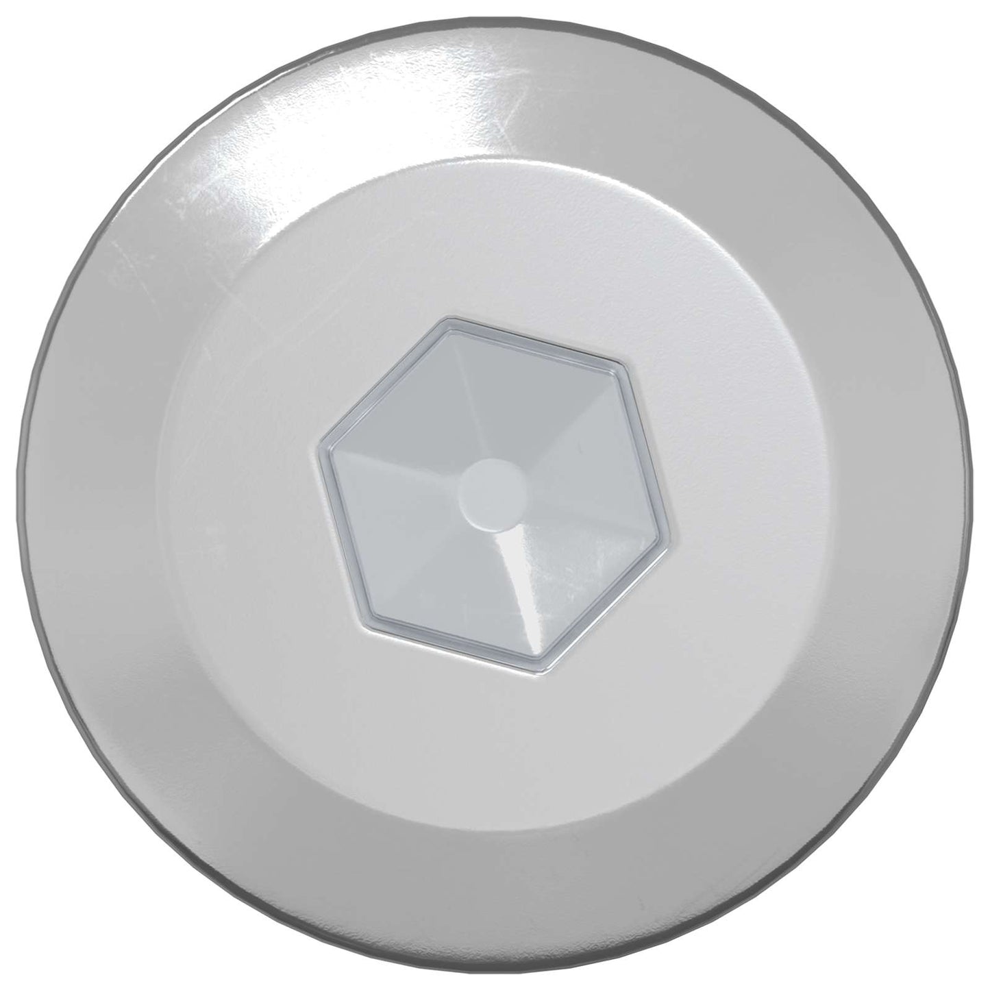 Houten Schroeven 2 pcs Zilver M6 x 70 mm Staal is nu te koop bij PeponiXL, paradijselijk wonen!