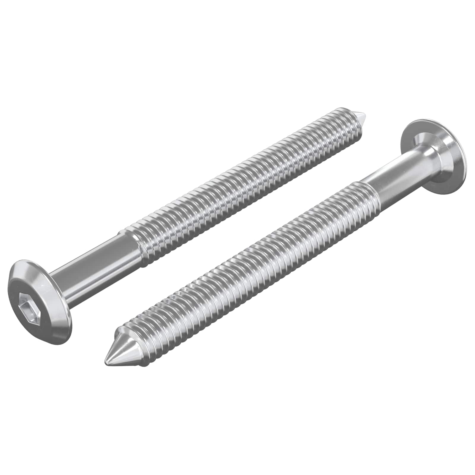 Meubelschroeven 2 pcs Zilver M6 x 60 mm Staal is nu te koop bij PeponiXL, paradijselijk wonen!