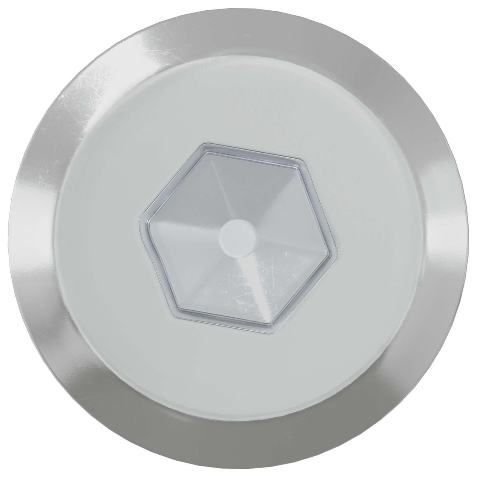 Meubelschroeven 12 pcs Zilver M6 x 60 mm Staal is nu te koop bij PeponiXL, paradijselijk wonen!