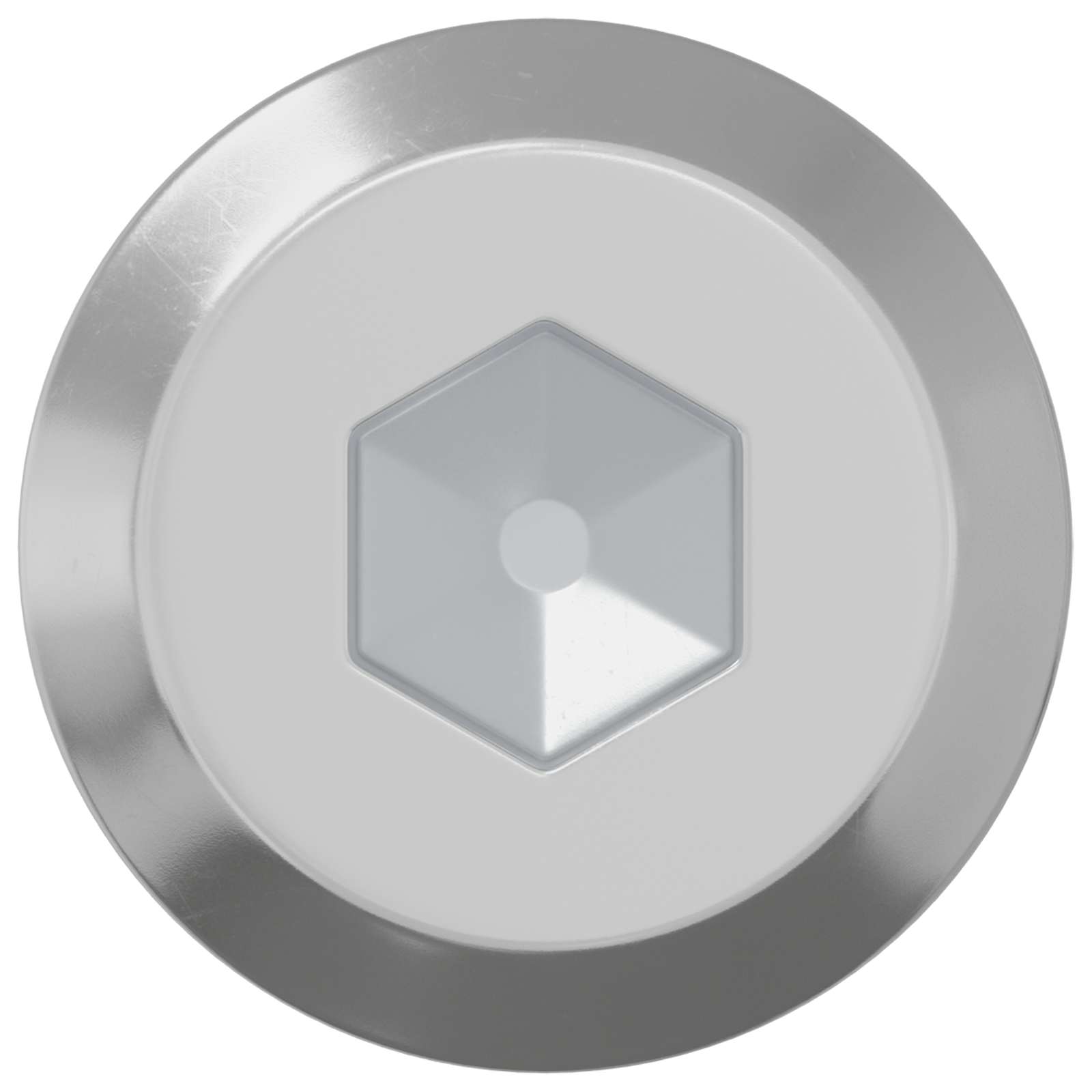 Bout 12 pcs Zilver M6 x 50 mm Staal is nu te koop bij PeponiXL, paradijselijk wonen!
