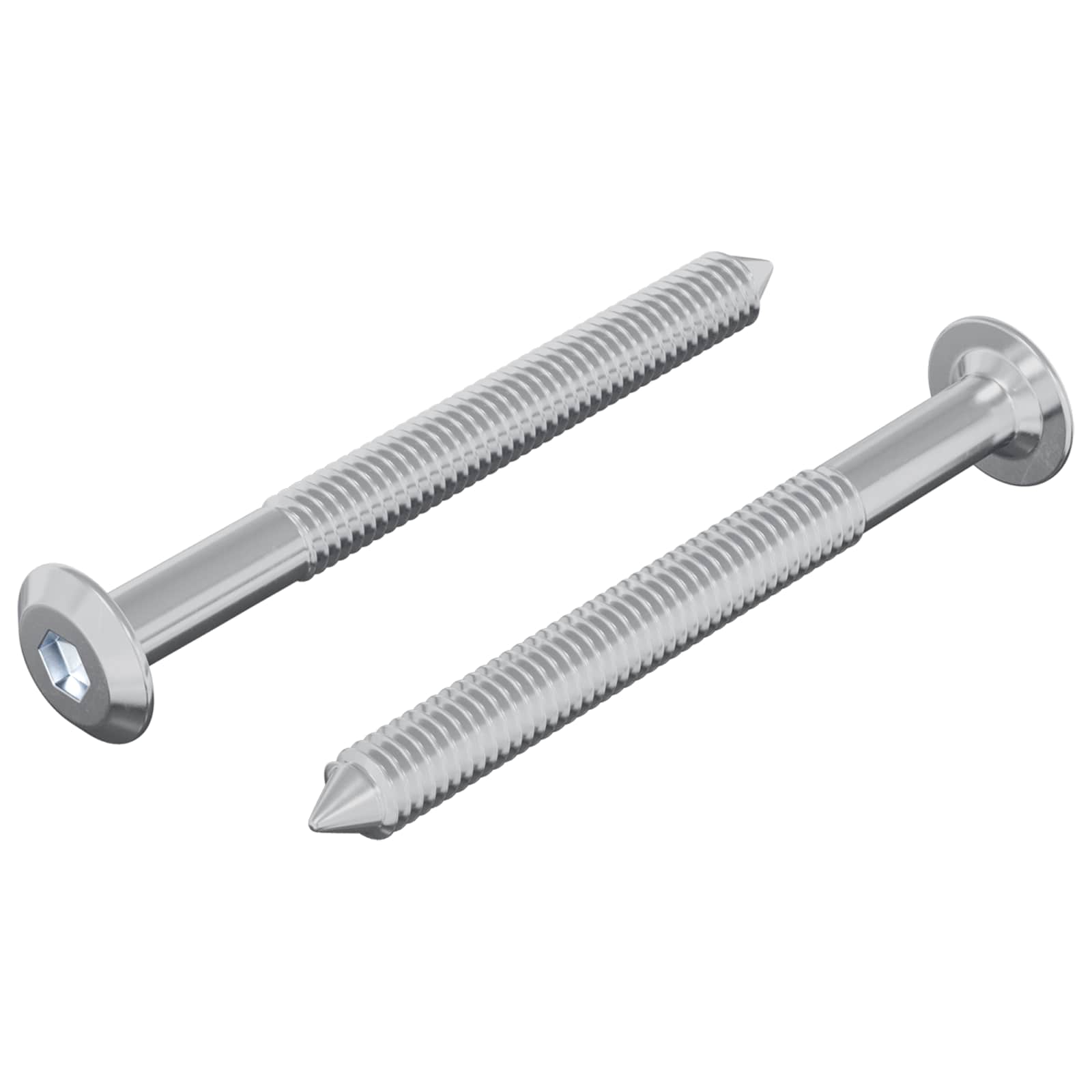 Bout 2 pcs Zilver M6 x 60 mm Staal is nu te koop bij PeponiXL, paradijselijk wonen!