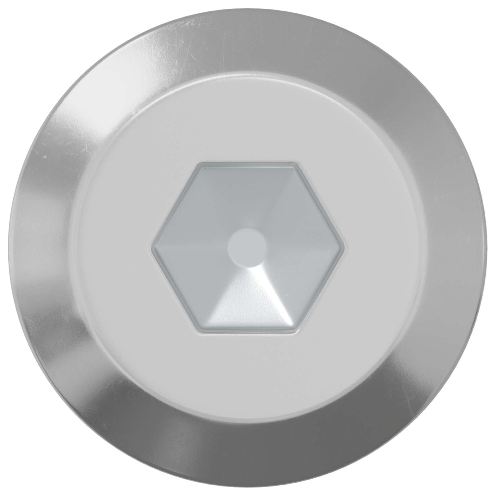 Bout 2 pcs Zilver M6 x 100 mm Staal is nu te koop bij PeponiXL, paradijselijk wonen!