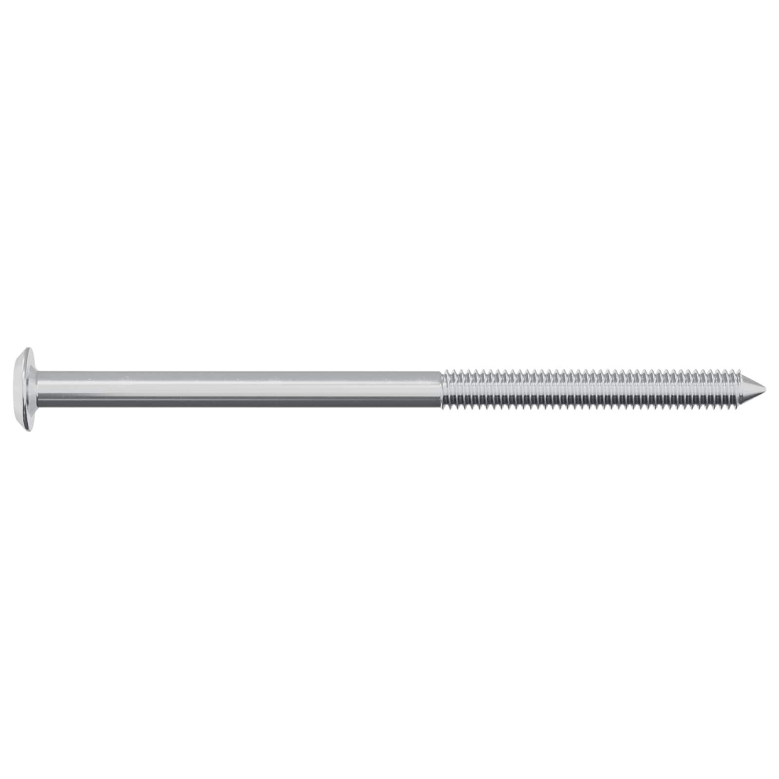 Bout 2 pcs Zilver M6 x 100 mm Staal is nu te koop bij PeponiXL, paradijselijk wonen!