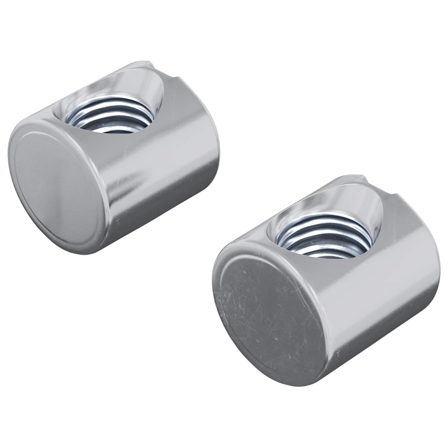 Barrelmoeren 2 pcs Zilver M6 x 12 mm Metaal is nu te koop bij PeponiXL, paradijselijk wonen!