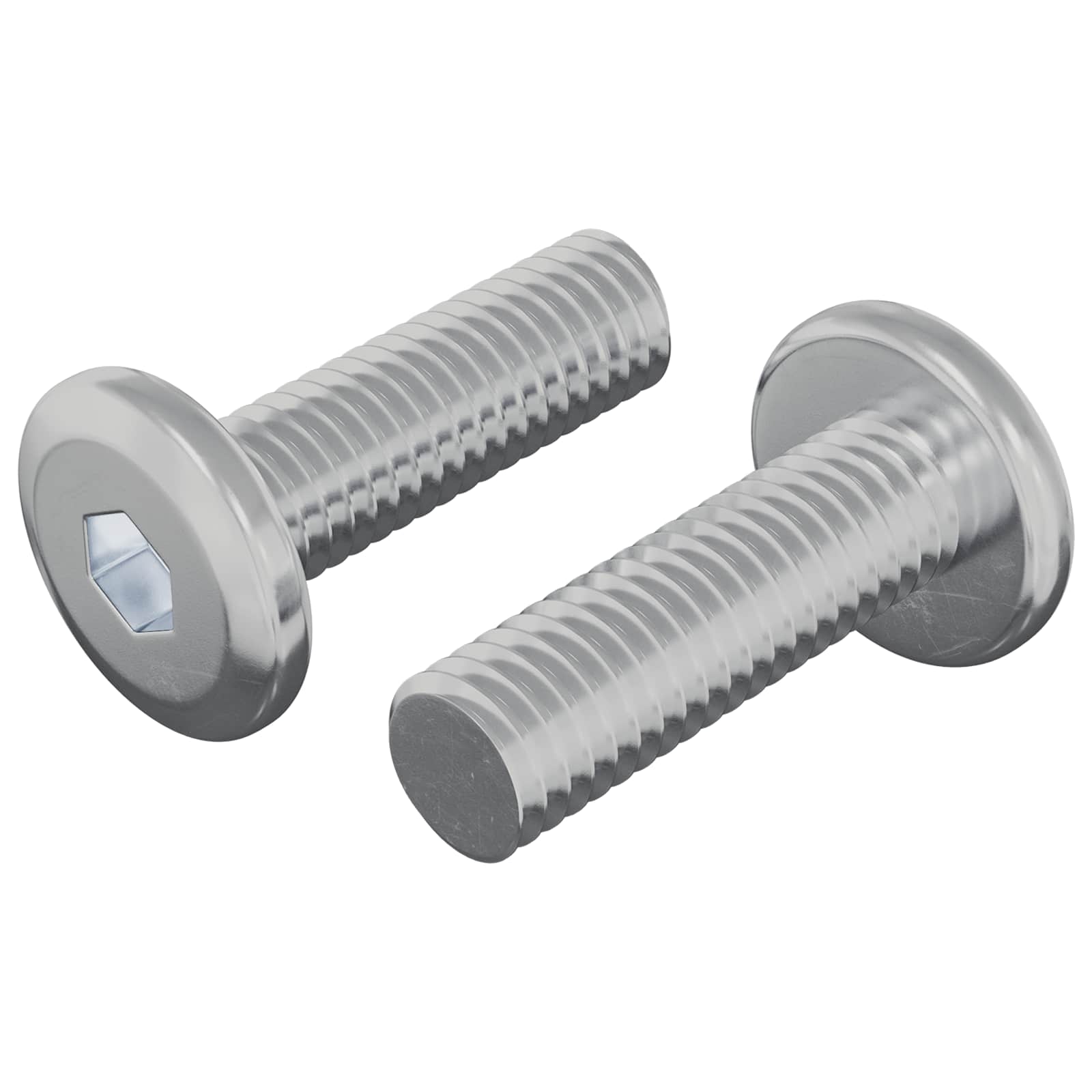 Bout 2 pcs Zilver 8 x 25 mm Staal is nu te koop bij PeponiXL, paradijselijk wonen!