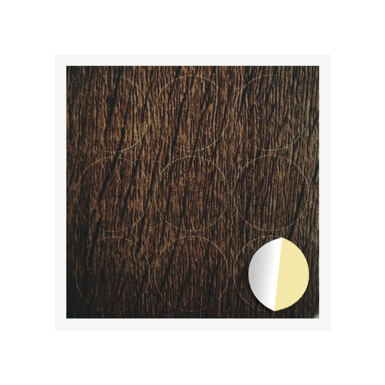 Zelfklevende Schroefhoes 12 pcs Bruin Eiken Ø 20 x 0,5 mm is nu te koop bij PeponiXL, paradijselijk wonen!