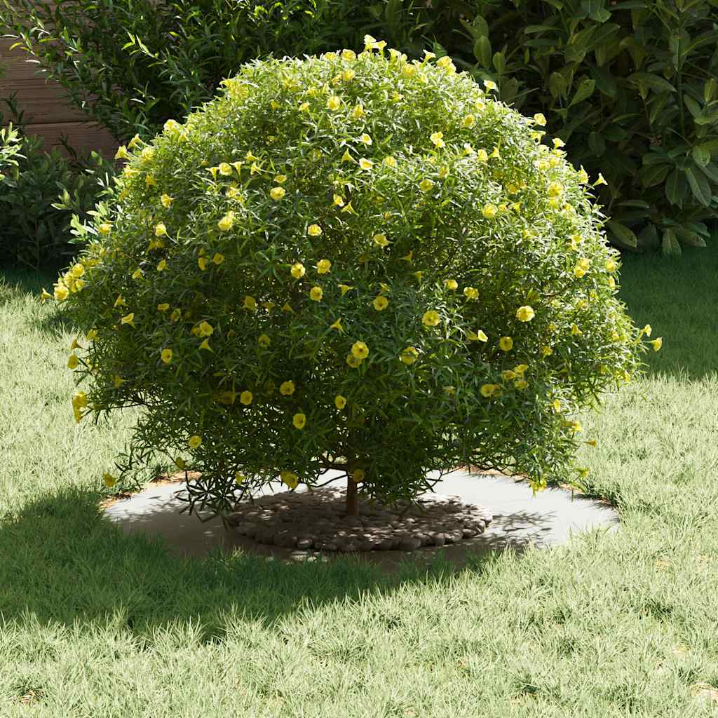 geschikt voor platte boomringen 5 pcs Wit Ø30 / 60 cm Staal is nu te koop bij PeponiXL, paradijselijk wonen!
