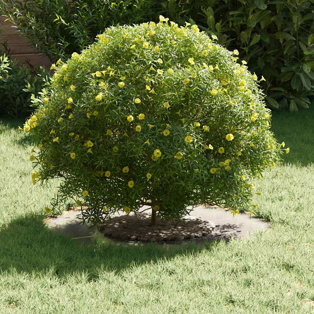 geschikt voor platte boomring Zilver Ø30 / 60 cm Roestvrij staal is nu te koop bij PeponiXL, paradijselijk wonen!