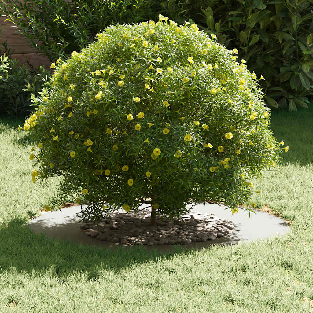 geschikt voor platte boomring Wit Ø40 / 70 cm Staal is nu te koop bij PeponiXL, paradijselijk wonen!
