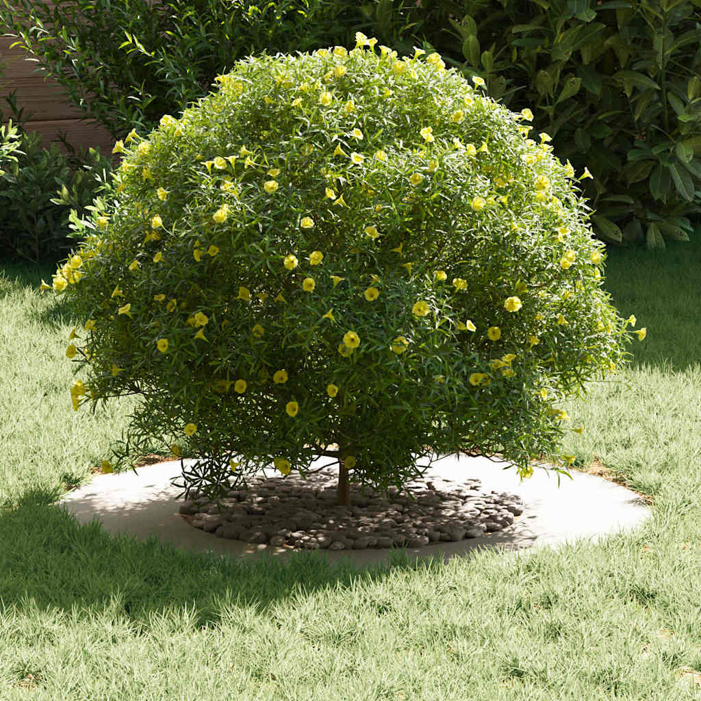 geschikt voor platte boomringen 5 pcs Wit Ø40 / 70 cm Staal is nu te koop bij PeponiXL, paradijselijk wonen!