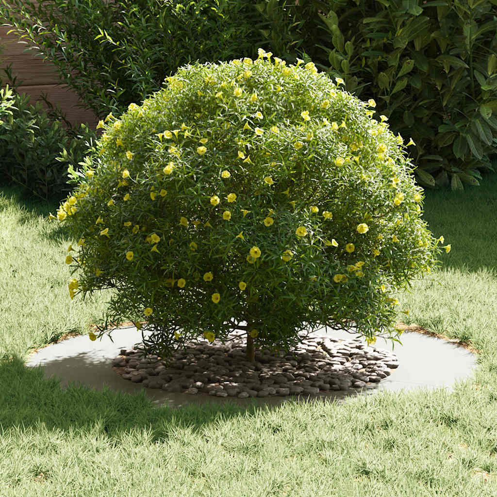 geschikt voor platte boomringen 5 pcs Wit Ø50 / 80 cm Staal is nu te koop bij PeponiXL, paradijselijk wonen!