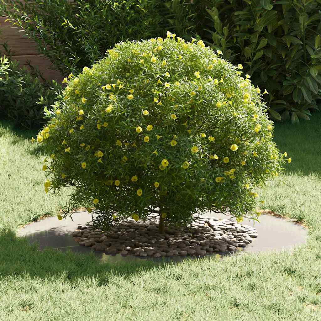 geschikt voor platte boomringen 5 pcs Zilver Ø50 / 80 cm is nu te koop bij PeponiXL, paradijselijk wonen!