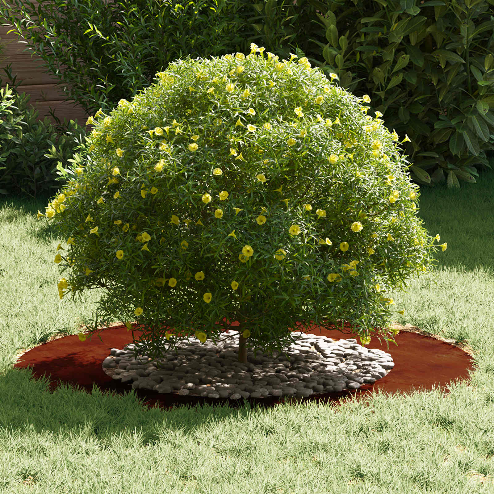 geschikt voor platte boomring Bruin Ø50 / 80 cm Cortenstaal is nu te koop bij PeponiXL, paradijselijk wonen!