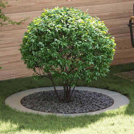 geschikt voor platte boomring Zilver Ø90 / 120 cm is nu te koop bij PeponiXL, paradijselijk wonen!