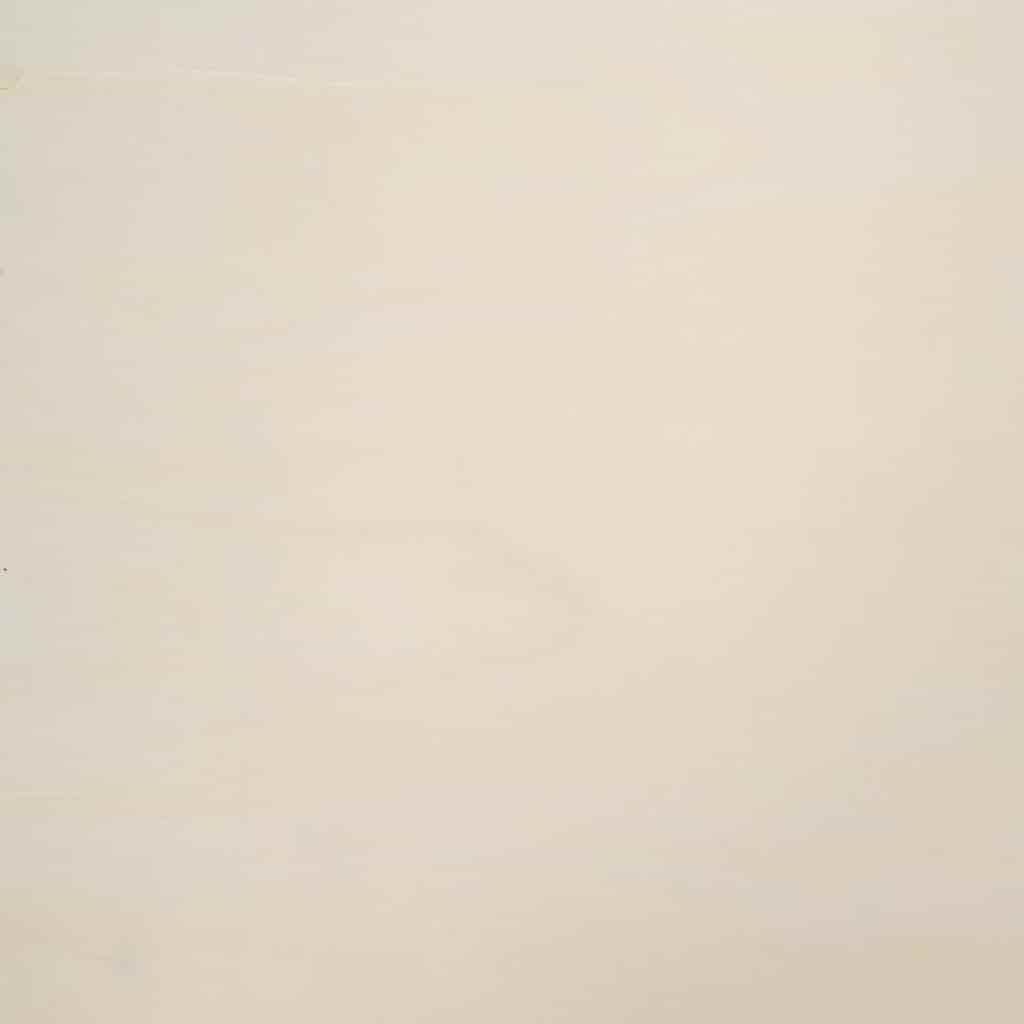 Muurdisplaykast met plank Beige 100 x 8,5 x 54 cm Multiplex