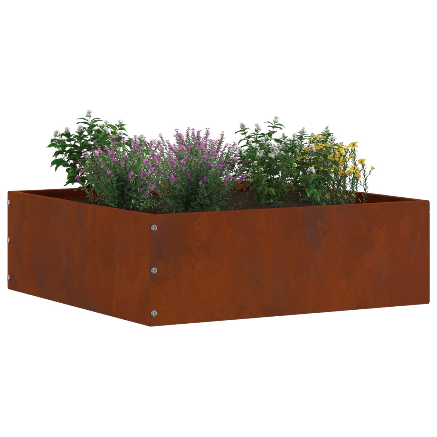 Tuinrand Roestig 40 x 40 x 13 cm Cortenstaal is nu te koop bij PeponiXL, paradijselijk wonen!