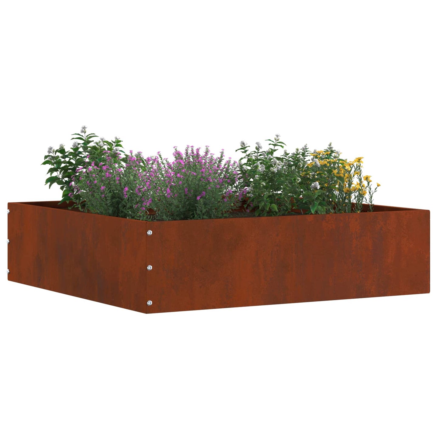 Tuinrand 6 pcs Roestig 50 x 50 x 13 cm Cortenstaal is nu te koop bij PeponiXL, paradijselijk wonen!