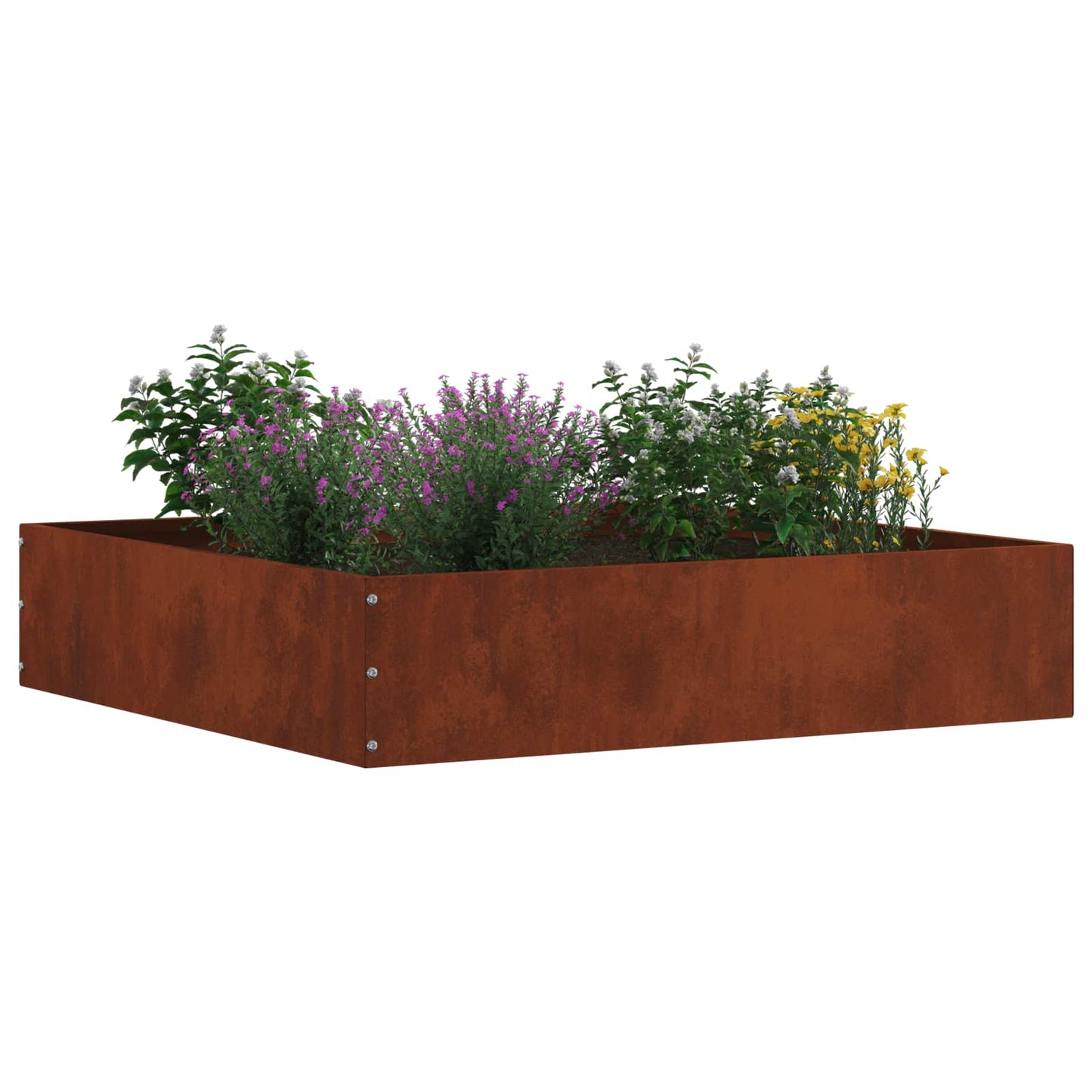 Tuinrand 6 pcs Roestig 60 x 60 x 13 cm Cortenstaal is nu te koop bij PeponiXL, paradijselijk wonen!