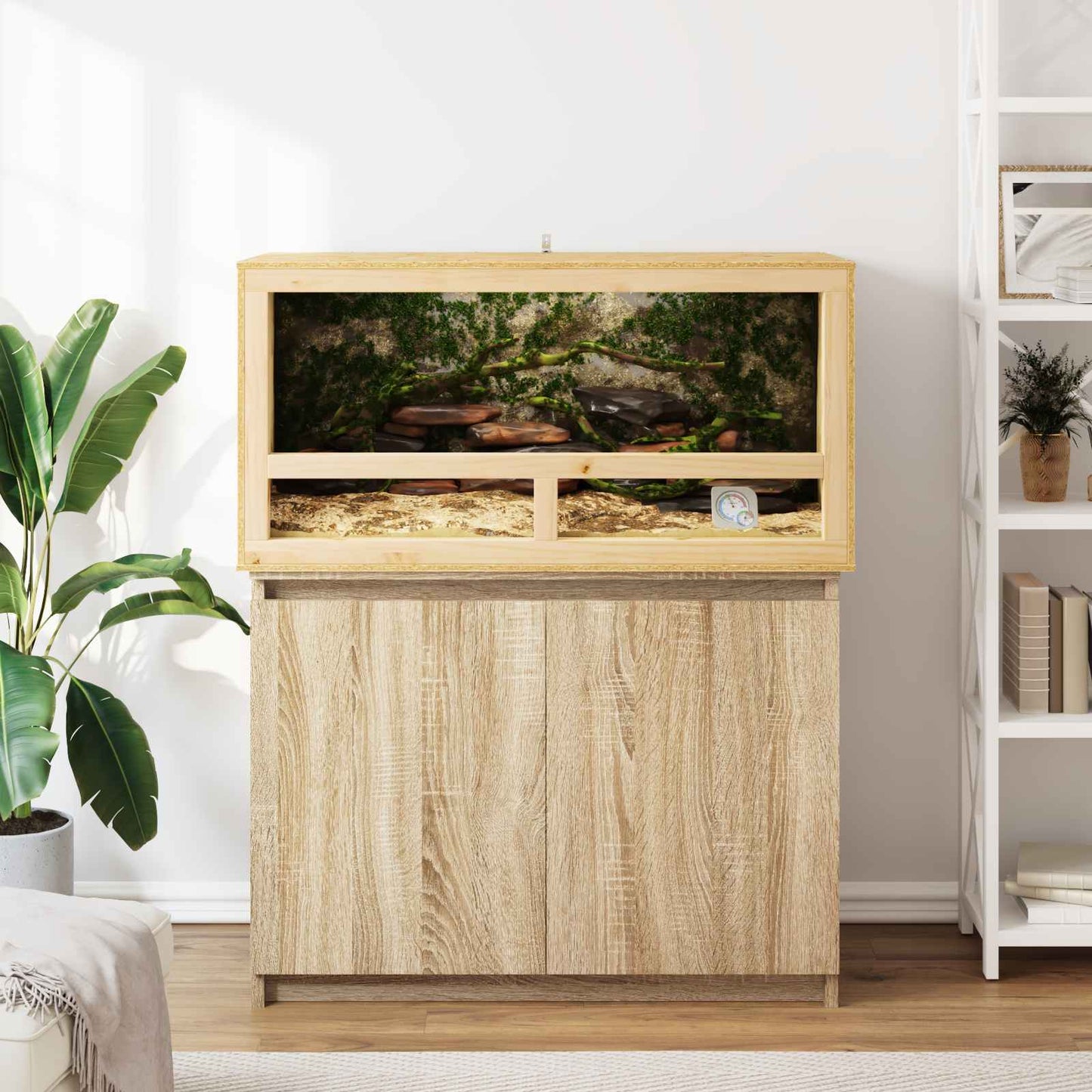 Terrarium Bruin 100 x 50 x 50 cm OSB is nu te koop bij PeponiXL, paradijselijk wonen!