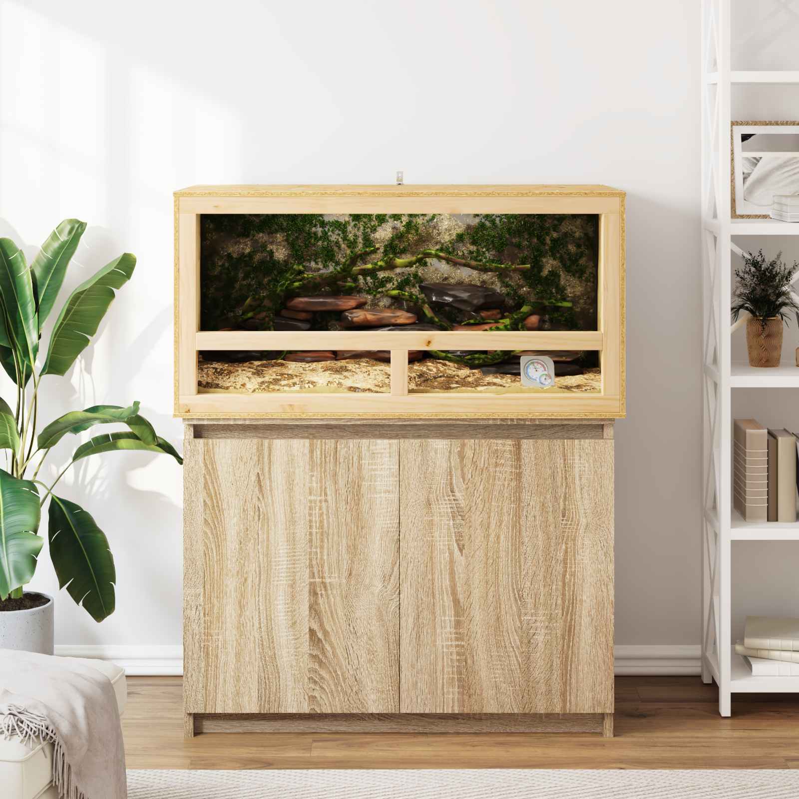 Terrarium Bruin 100 x 50 x 50 cm OSB is nu te koop bij PeponiXL, paradijselijk wonen!