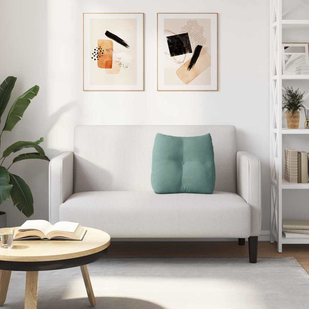 Rugkussen Zeegroen 45 x 24 x 50 cm Fluweel is nu te koop bij PeponiXL, paradijselijk wonen!