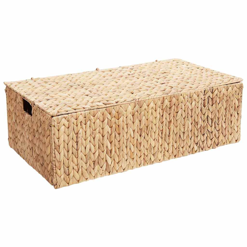 Opbergbox Naturel 60 x 38 x 20 cm Waterhyacint