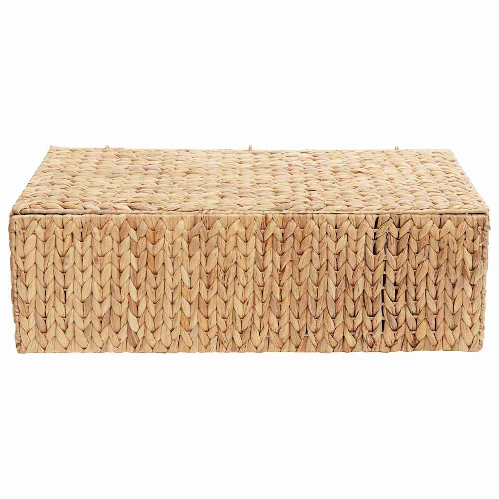 Opbergbox Naturel 60 x 38 x 20 cm Waterhyacint