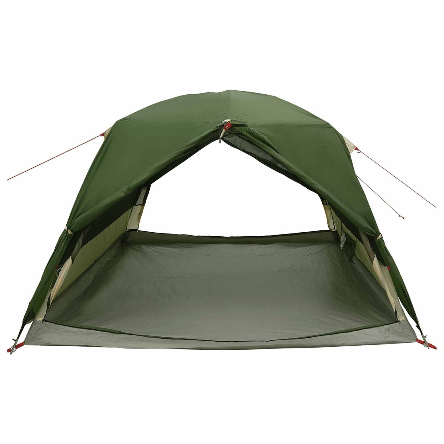 Backpacking Tent Groen 2-persoons 185T Polyester met PU Coating is nu te koop bij PeponiXL, paradijselijk wonen!