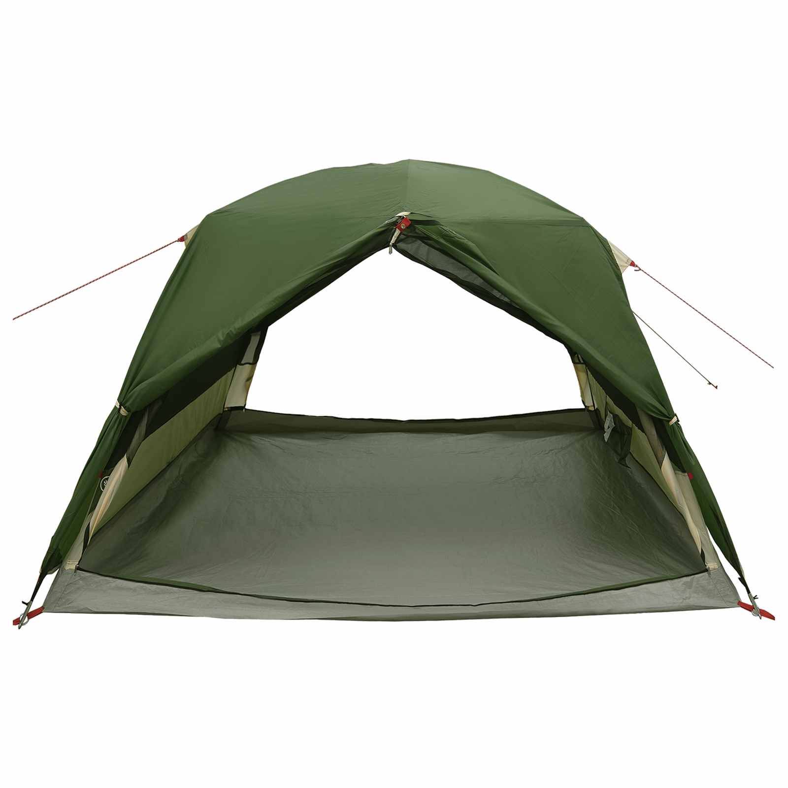 Backpacking Tent Groen 2-persoons 185T Polyester met PU Coating is nu te koop bij PeponiXL, paradijselijk wonen!