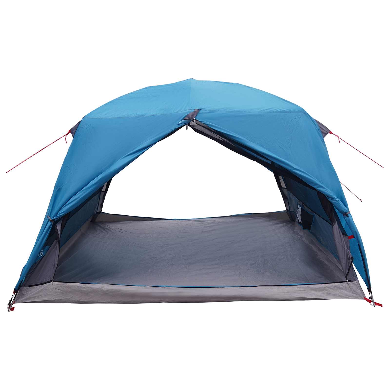 Backpacking Tent Blauw 2-persoons 185T Polyester met PU Coating is nu te koop bij PeponiXL, paradijselijk wonen!