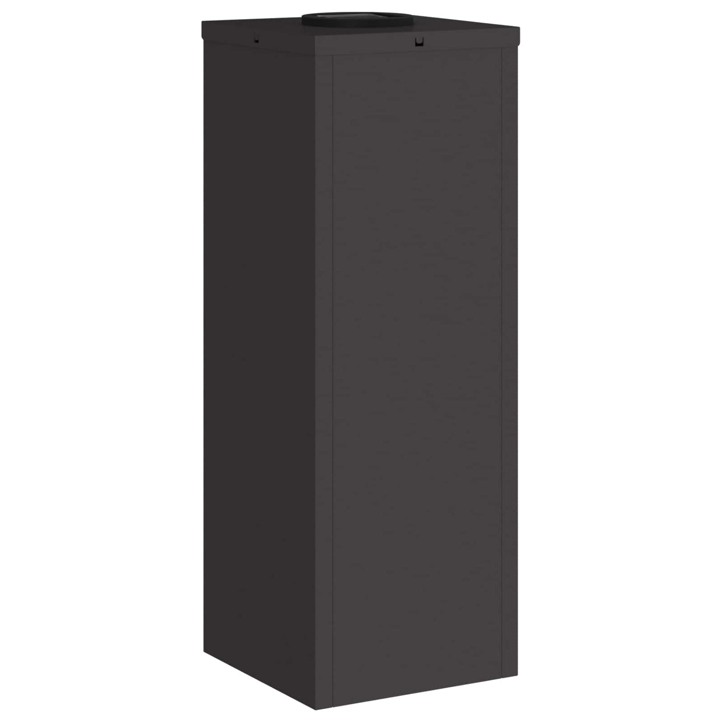 Zonne LED Padverlichting 2 pcs Zwart Koudgewalst staal is nu te koop bij PeponiXL, paradijselijk wonen!
