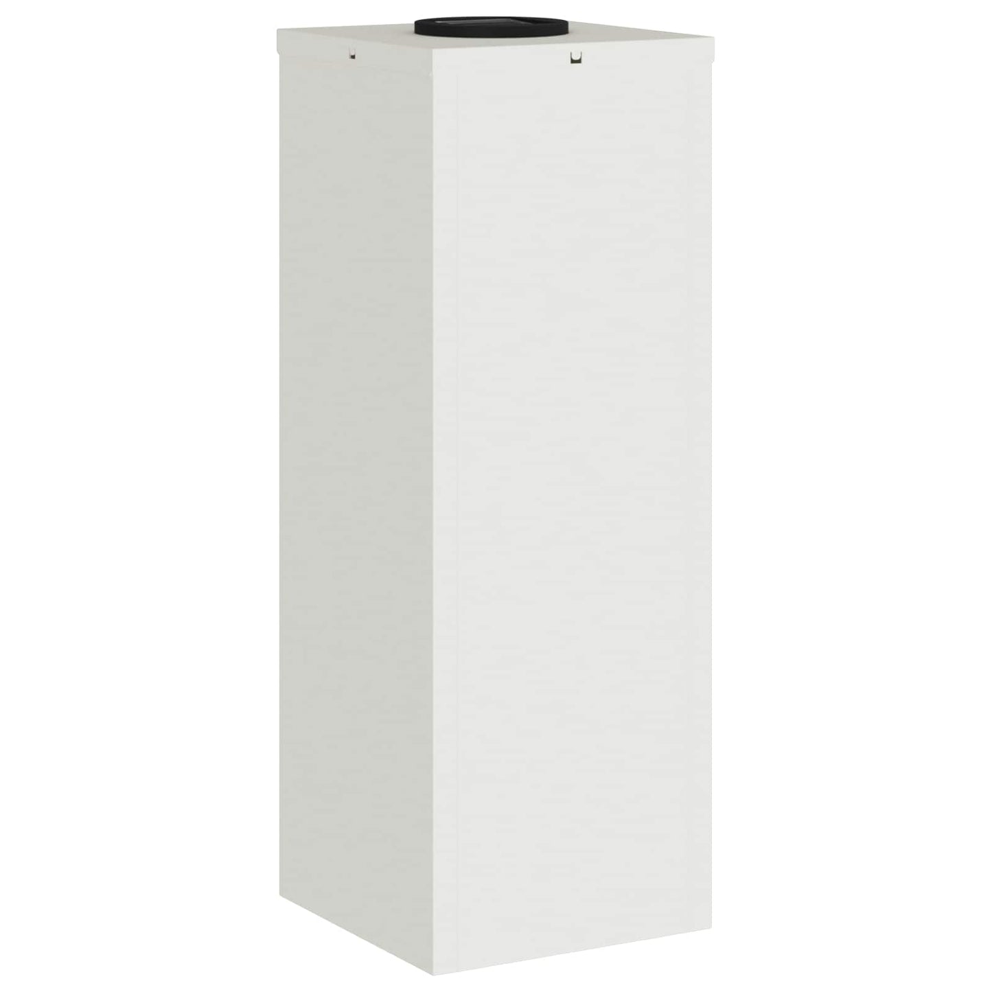 Zonne LED Padverlichting 2 pcs Wit Koudgewalst staal is nu te koop bij PeponiXL, paradijselijk wonen!