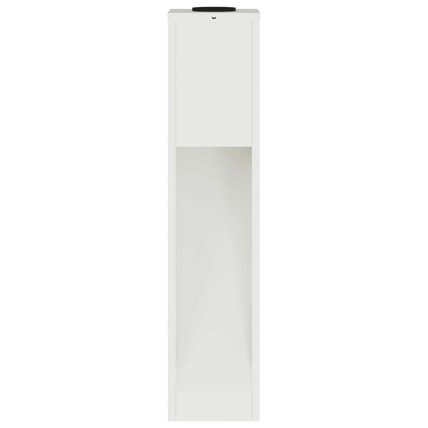 Zonne LED Padverlichting 2 pcs Wit Koudgewalst staal is nu te koop bij PeponiXL, paradijselijk wonen!