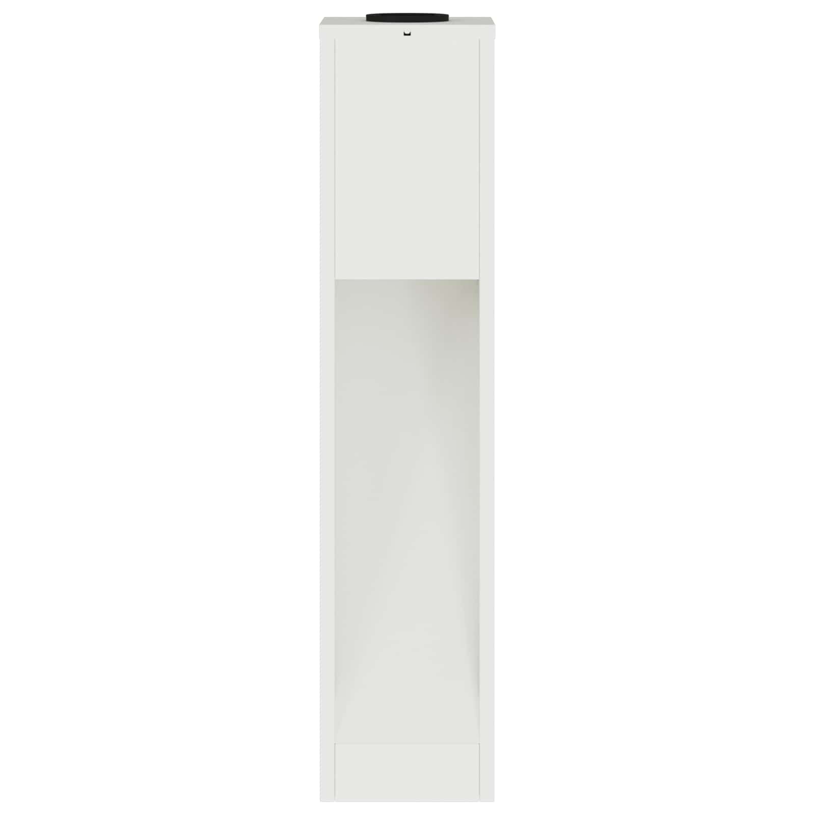 Zonne LED Padverlichting 2 pcs Wit Koudgewalst staal is nu te koop bij PeponiXL, paradijselijk wonen!