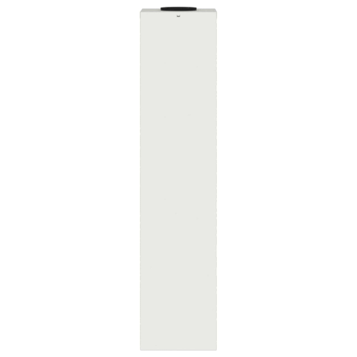 Zonne LED Padverlichting 2 pcs Wit Koudgewalst staal is nu te koop bij PeponiXL, paradijselijk wonen!