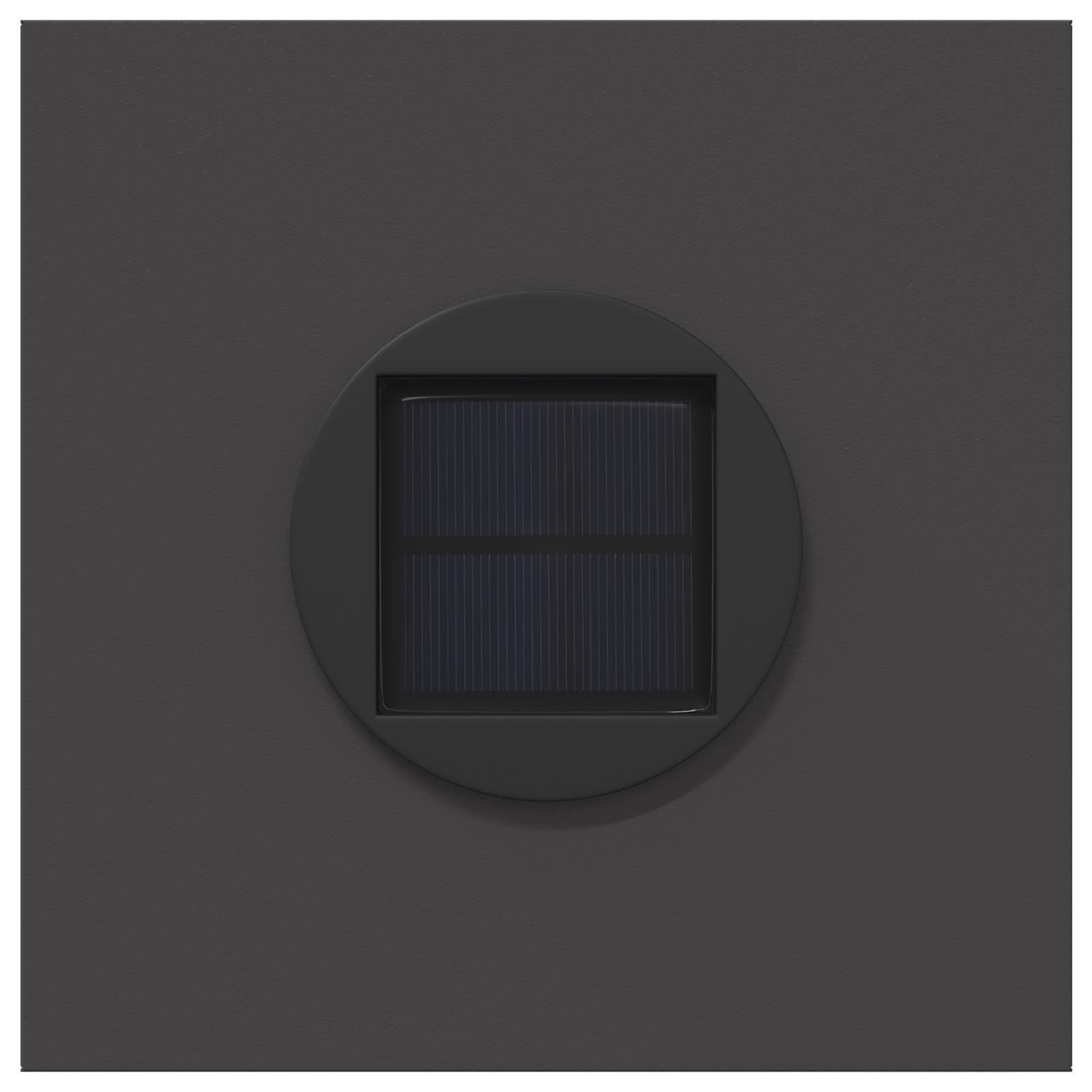Solar LED Pad Licht Visgraat 2 pcs Zwart Koudgewalst staal is nu te koop bij PeponiXL, paradijselijk wonen!