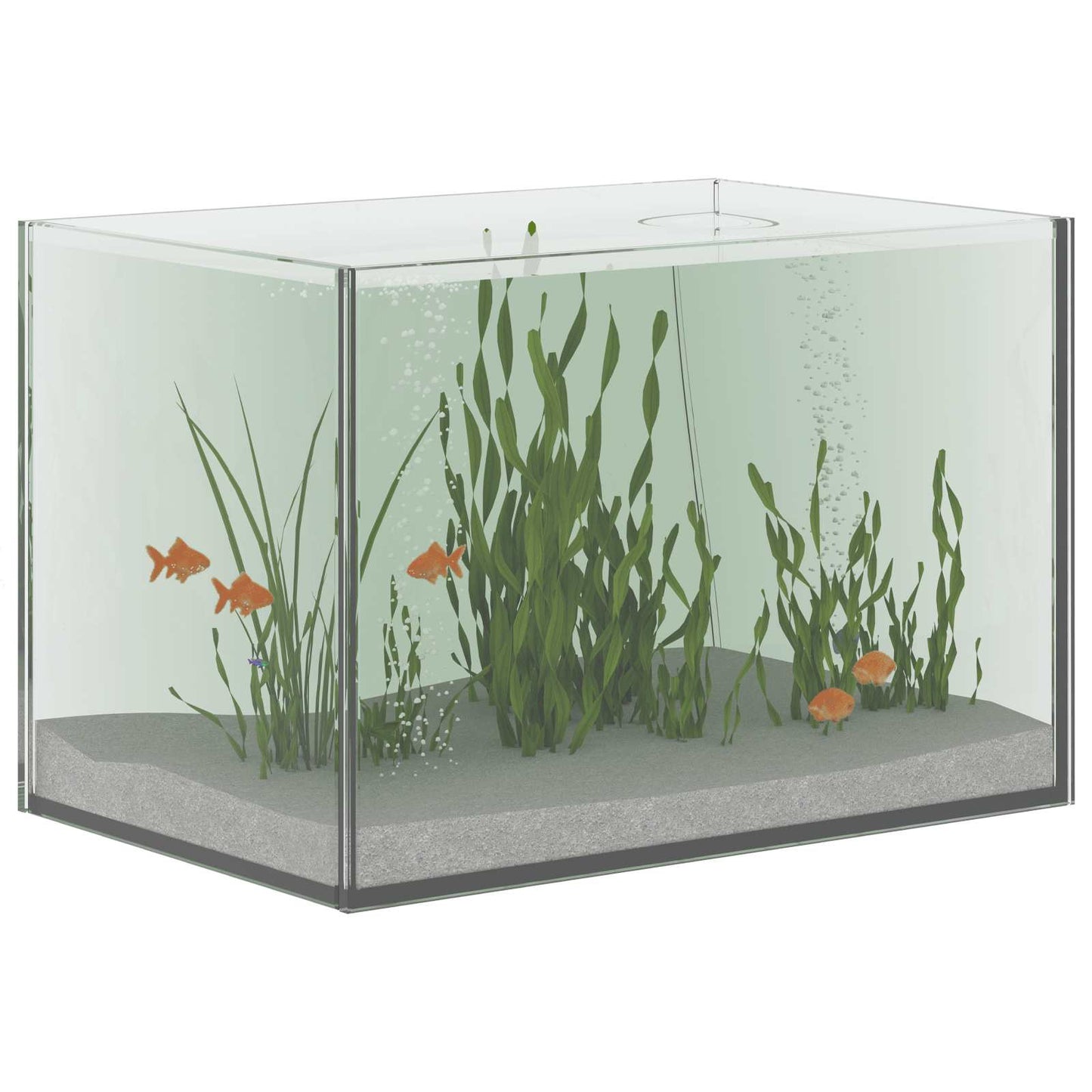 Aquarium met opslag Doorzichtig 30 x 20 x 20 cm Glas is nu te koop bij PeponiXL, paradijselijk wonen!