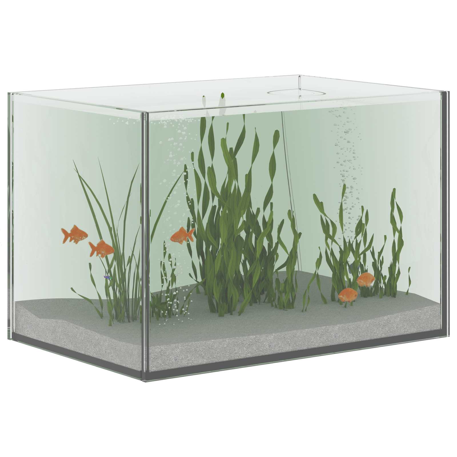Aquarium met opslag Doorzichtig 30 x 20 x 20 cm Glas is nu te koop bij PeponiXL, paradijselijk wonen!