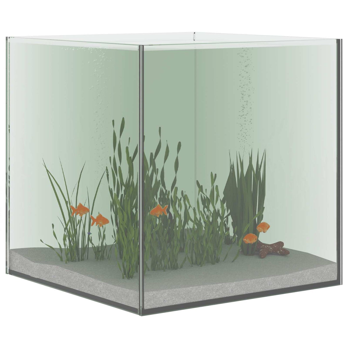 Aquarium met opslag Doorzichtig 30 x 30 x 30 cm Glas is nu te koop bij PeponiXL, paradijselijk wonen!